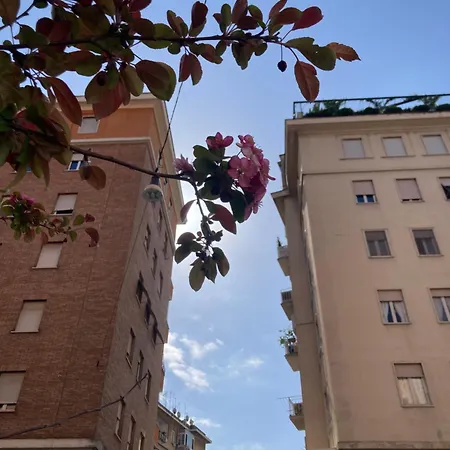 Homestay Testaccio In