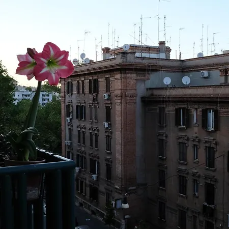 منزل للإقامة Testaccio In *